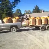 Moses Farm photo