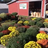 Moses Farm photo