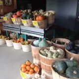 Moses Farm photo