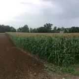 Moses Farm photo