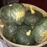 Moses Farm photo