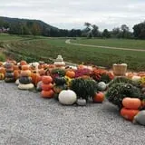 Moses Farm photo