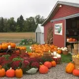 Moses Farm photo