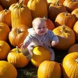 Moses Farm photo