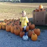 Moses Farm photo