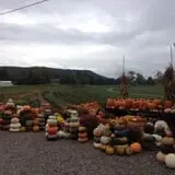 Moses Farm photo