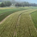 Moses Farm photo