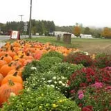 Moses Farm photo