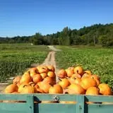 Moses Farm photo