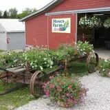 Moses Farm photo