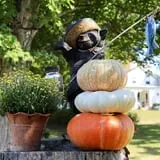 Moses Farm photo