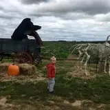 Windy Acres Farm photo
