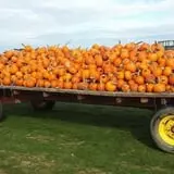Windy Acres Farm photo