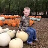 Pumpkin Patch at Copper Creek photo