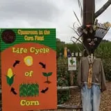 Pumpkin Patch at Copper Creek