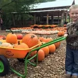 Pumpkin Patch at Copper Creek photo