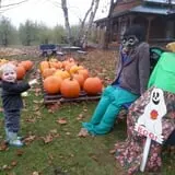 Windy Ridge Orchard photo