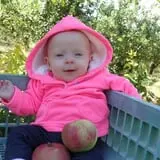 Windy Ridge Orchard photo