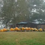 Windy Ridge Orchard photo