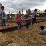 Livesay Orchards photo