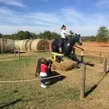Livesay Orchards photo
