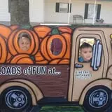 Livesay Orchards photo