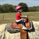 Livesay Orchards photo