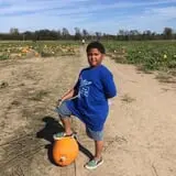 Livesay Orchards photo