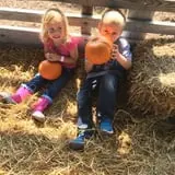 Livesay Orchards photo