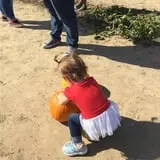 Livesay Orchards photo