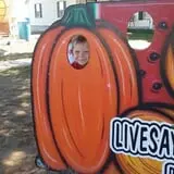 Livesay Orchards photo