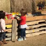 Livesay Orchards photo