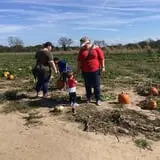 Livesay Orchards photo