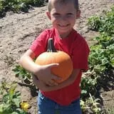 Livesay Orchards photo