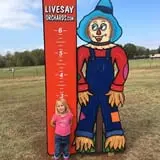Livesay Orchards photo