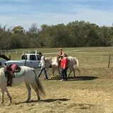 Livesay Orchards photo
