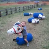 Livesay Orchards photo