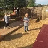 Livesay Orchards photo