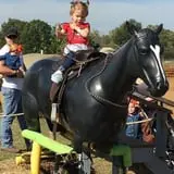 Livesay Orchards photo
