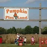 Livesay Orchards photo