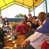 Livesay Orchards photo