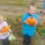 Livesay Orchards photo
