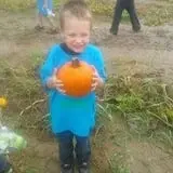 Livesay Orchards photo