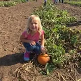 Livesay Orchards photo