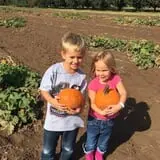 Livesay Orchards photo