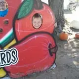 Livesay Orchards photo