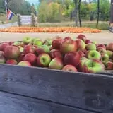 Berry Fruit Farm photo