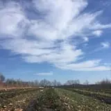 Berry Fruit Farm photo