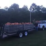 Berry Fruit Farm photo