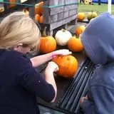 Berry Fruit Farm photo